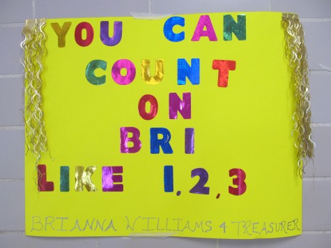 Watertown Middle School elections Bri